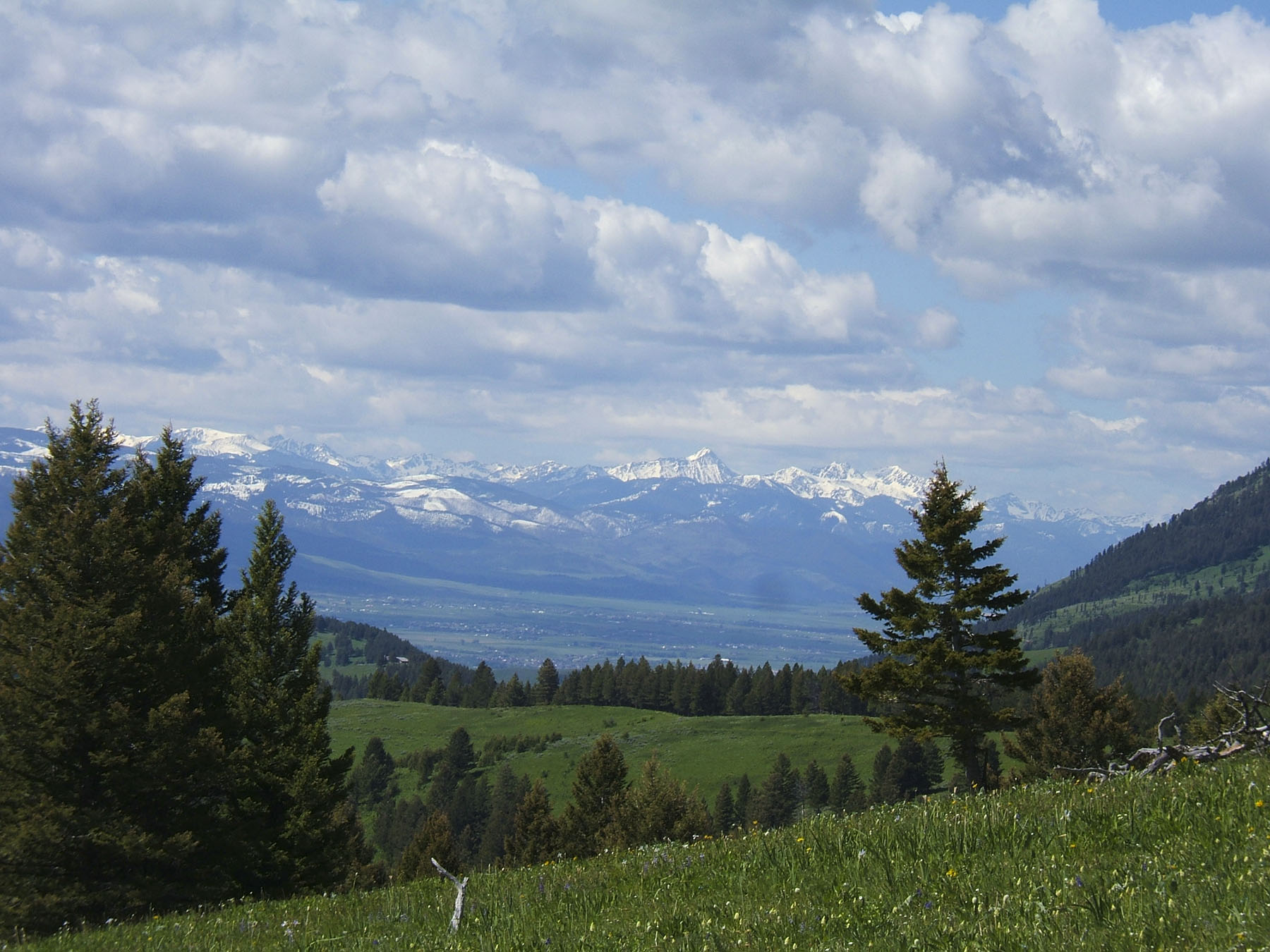 Timber Ridge Ranch Sold Montana Hall and Hall